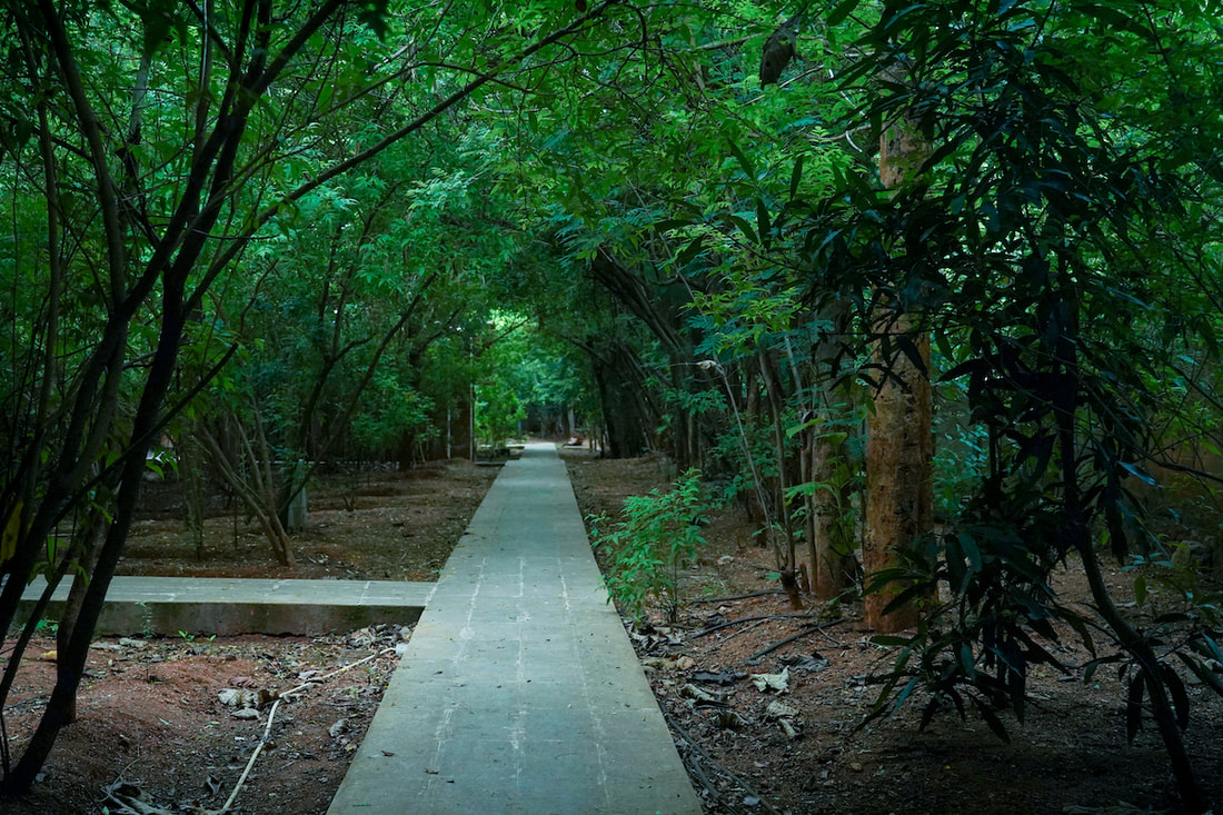 Vaidyagrama Ayurveda Healing Village-MainView